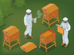 set up apiaries